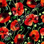 Colour:K