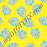 Colour:K