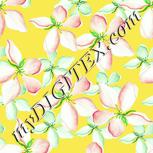 Colour:K
