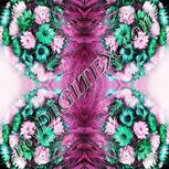 Colour:B