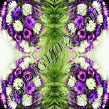 Colour:D