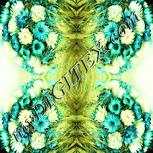 Colour:K