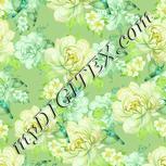 Colour:K