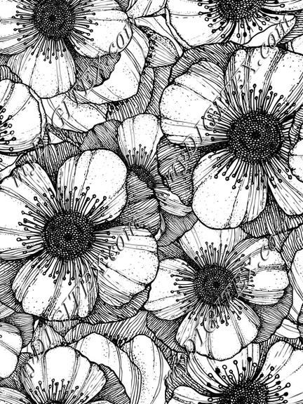 Anemones