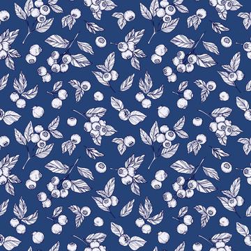 88-100 Bluberries-01