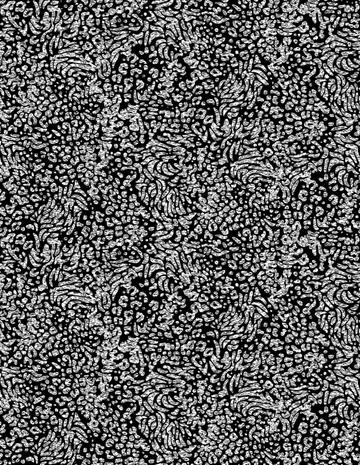 1014184