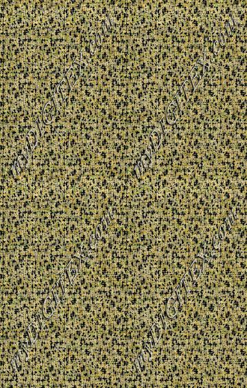 D011076