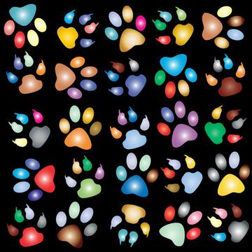 Colorful paws pattern