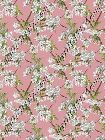 Blossom_4x_Noon