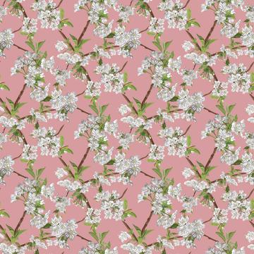 Blossom_4x_Noon