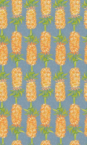 Eucomis_6x_Orig