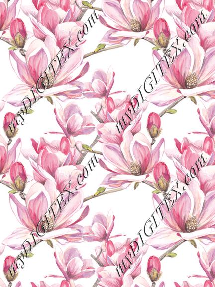 Magnolia_4x_Orig