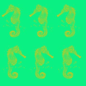 Seahorse