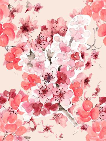 Pattern 7 Cherry Blossoms