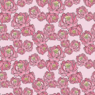 Porteous_Pink