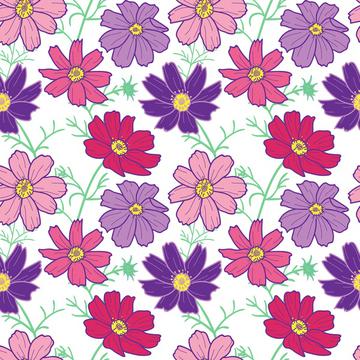 cosmos flowerBIG