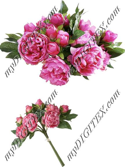 pink rose print