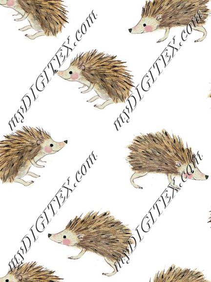 9809702_rhedgehog-and-dandelion2