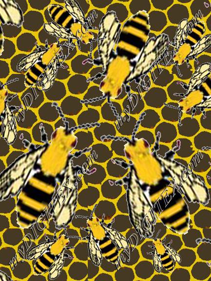 MY Wasp Pattern