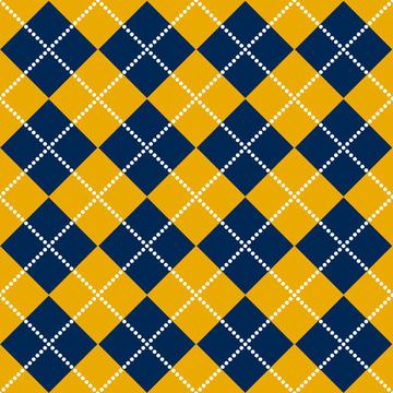 Mountaineer Argyle
