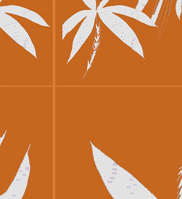 Tropics Pattern
