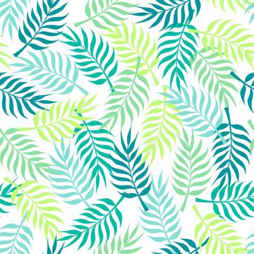 Tropical palm tree leaves on white background