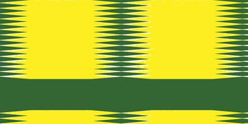 Electric Green & yellow