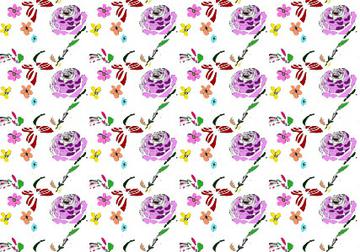 Spring Me
