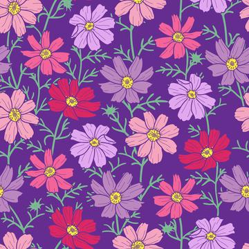cosmos flower purple
