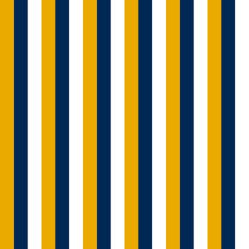 Mountaineer Vertical Stripe