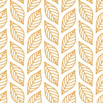 Autumn leaves outline on white background