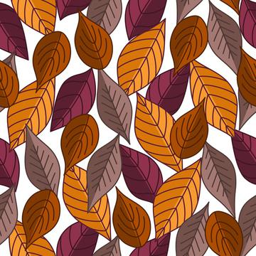 Autumn leaves on white background