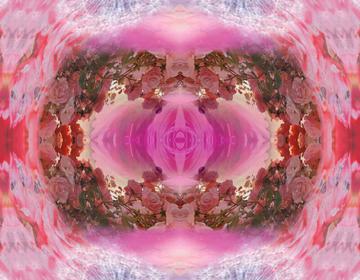bonbon3
