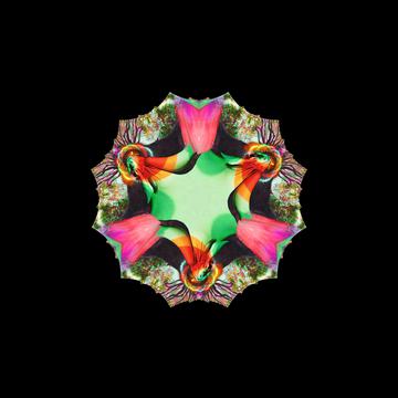 ImageFractal(228)