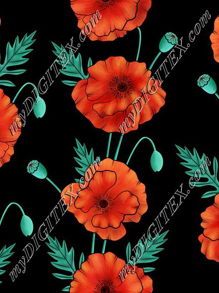 Poppies on black background