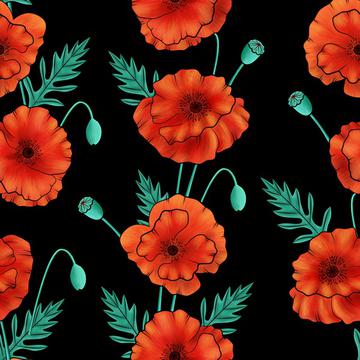Poppies on black background
