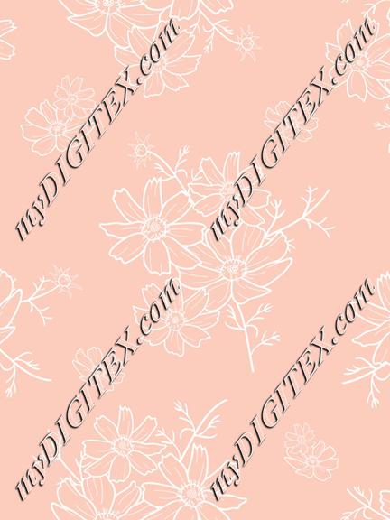 cosmos flower pink