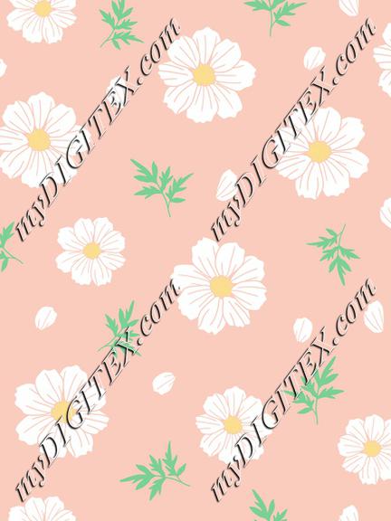 White cosmos flower with leaves and petals on peach background