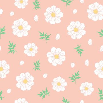 White cosmos flower with leaves and petals on peach background