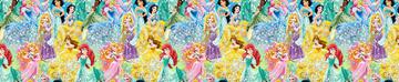 Sparkling Princess Large