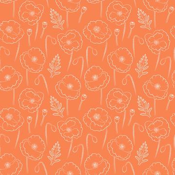 Poppies outline on orange background