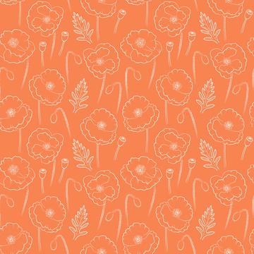 Poppies outline on orange background