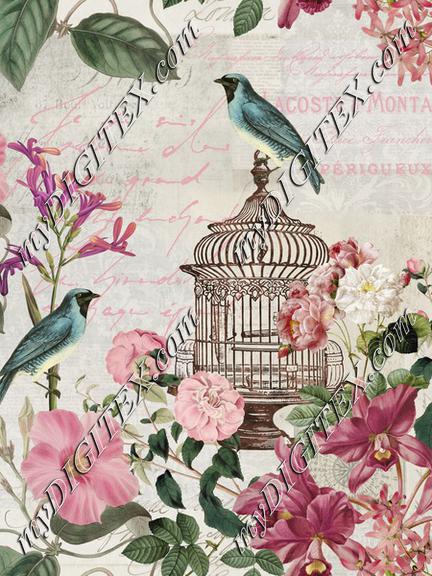 Vintage Birdcage And Flowers