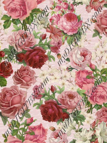 Vintage Roses Blush Pink