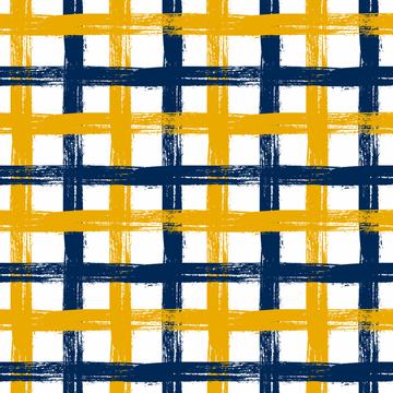 Mountaineer Madness Painted Weave