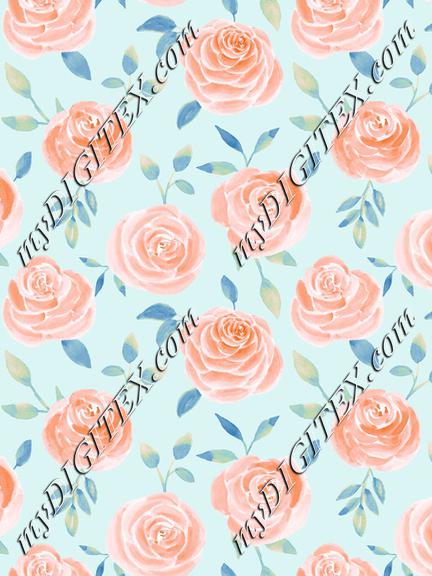 Roses peach blue2