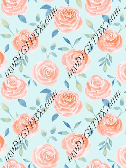 Roses peach blue2