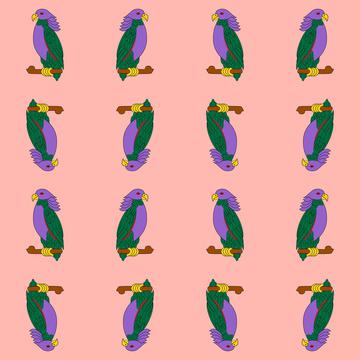 Parrot pattern