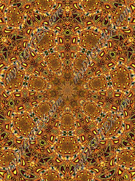 multinativecircleswvkal