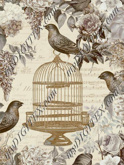 Birdcage and Flower Romance